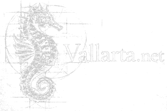 Vallarta.net
